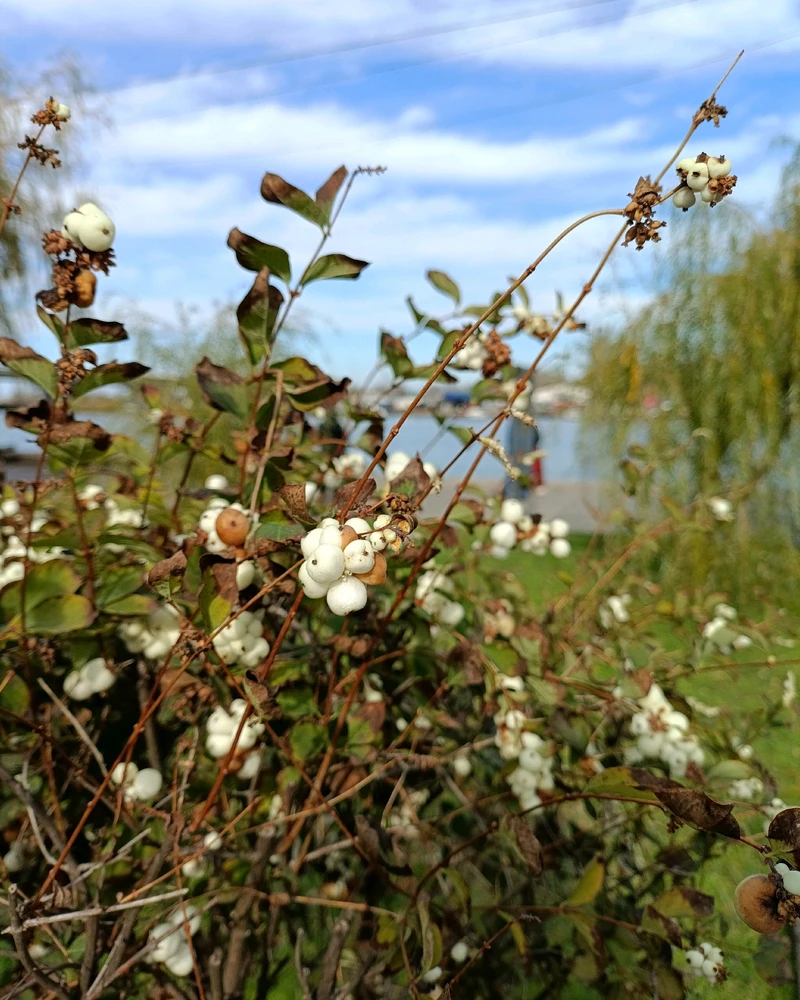 Зображення завантажив Ruslana