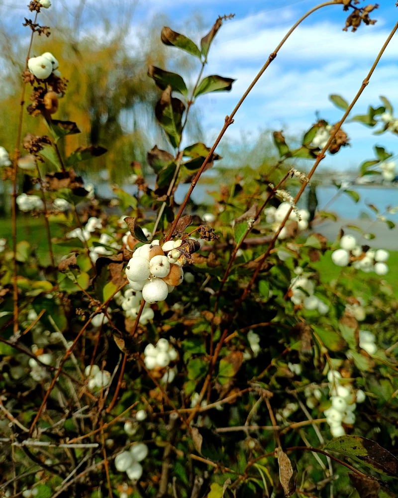 Зображення завантажив Ruslana