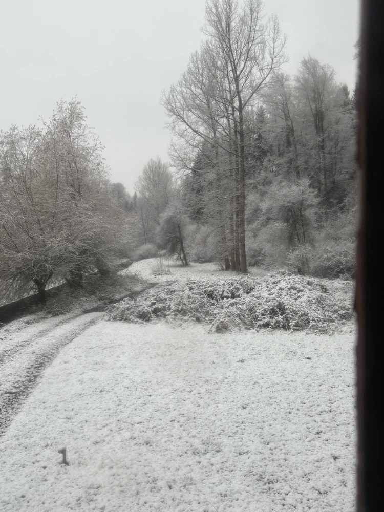 Image uploaded by 🌙✨ℳℯ𝓁𝒶𝓃𝒾𝓆𝓊ℯ✨🌙