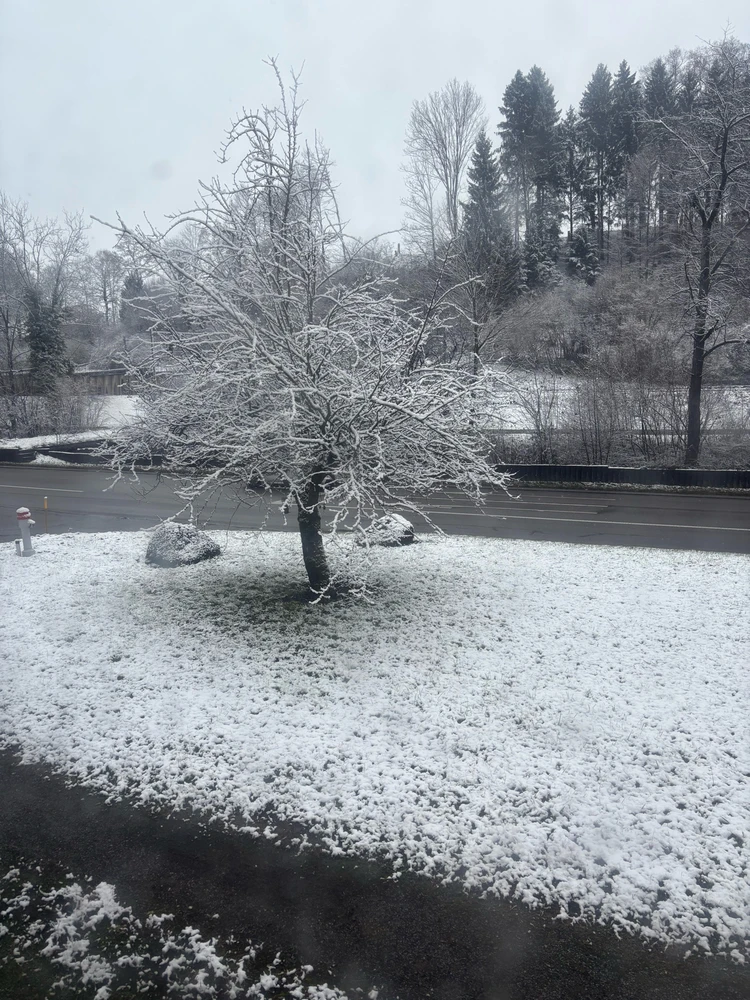 Image uploaded by 🌙✨ℳℯ𝓁𝒶𝓃𝒾𝓆𝓊ℯ✨🌙