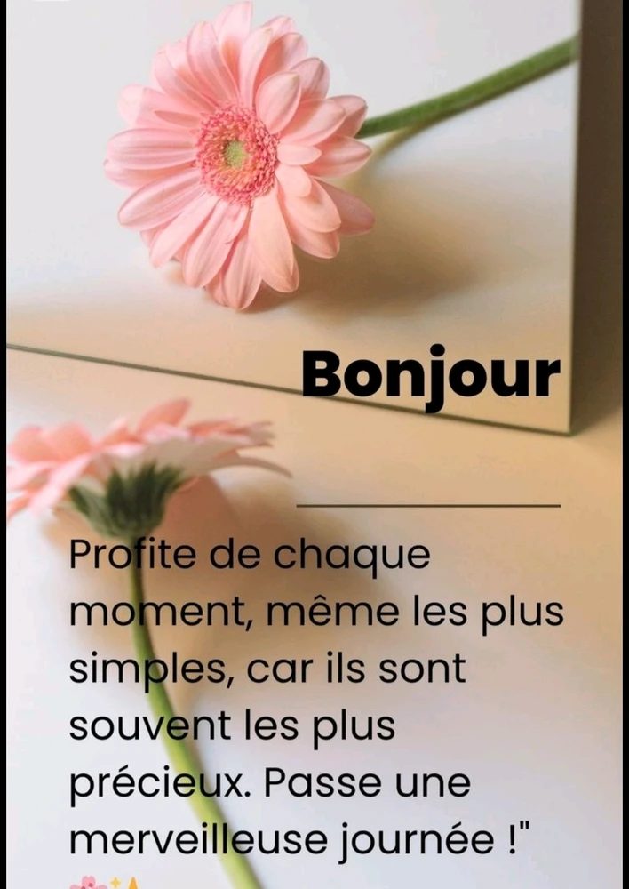 GIF ajouté par Sara