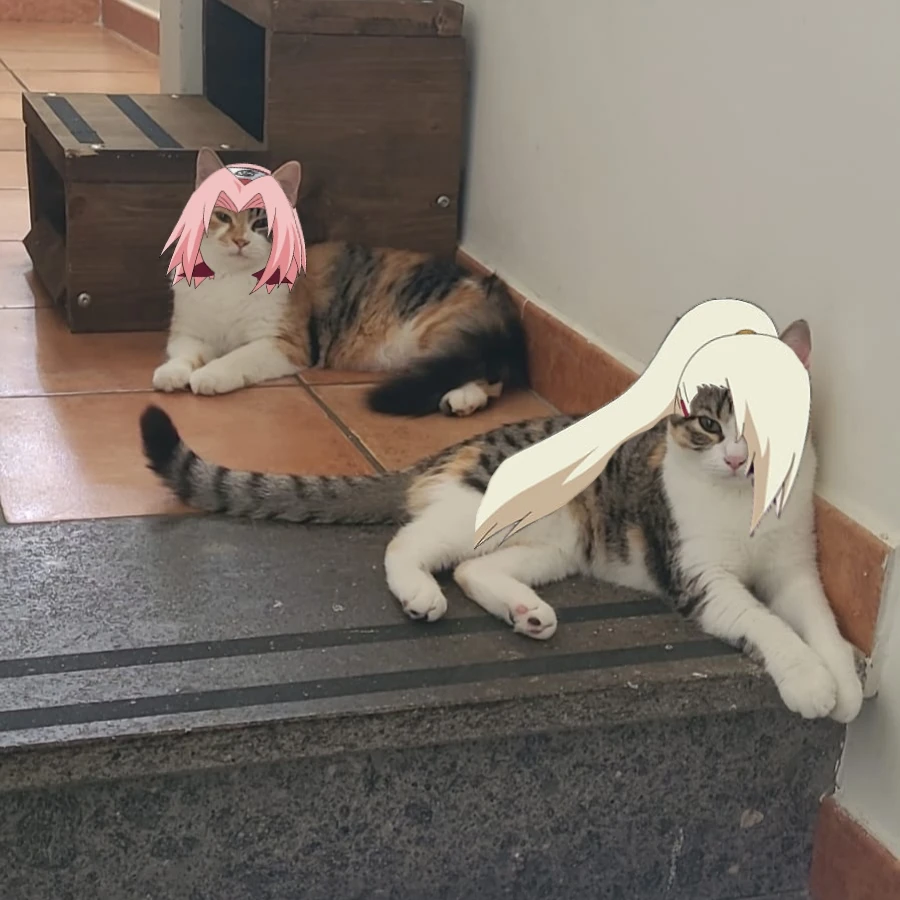 GIF caricata da Manuel