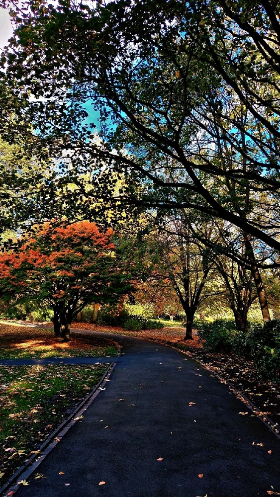 Image uploaded by 수호