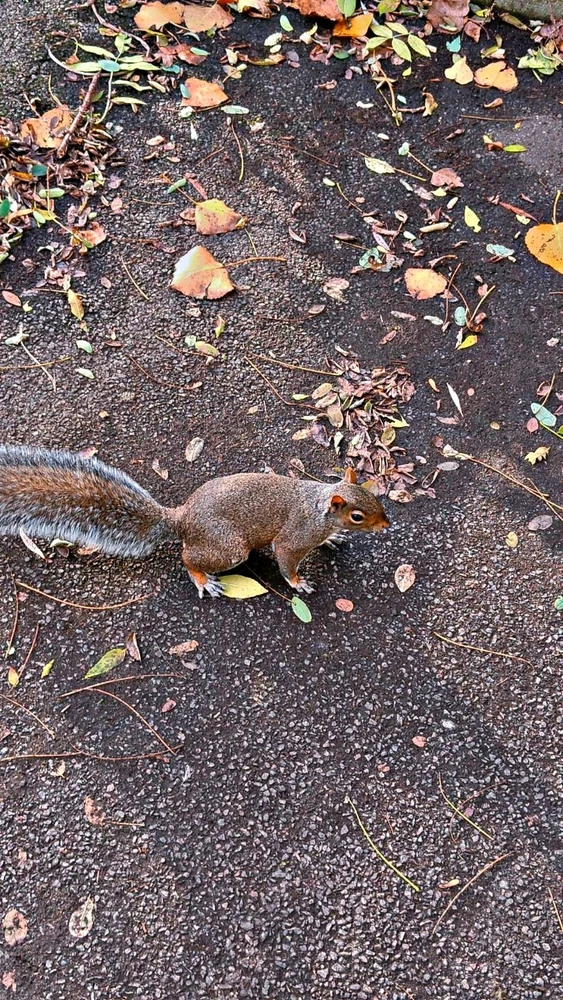 Image uploaded by 수호