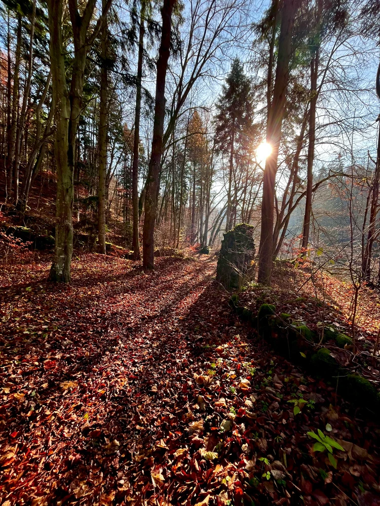 Obrázek nahrál Jess