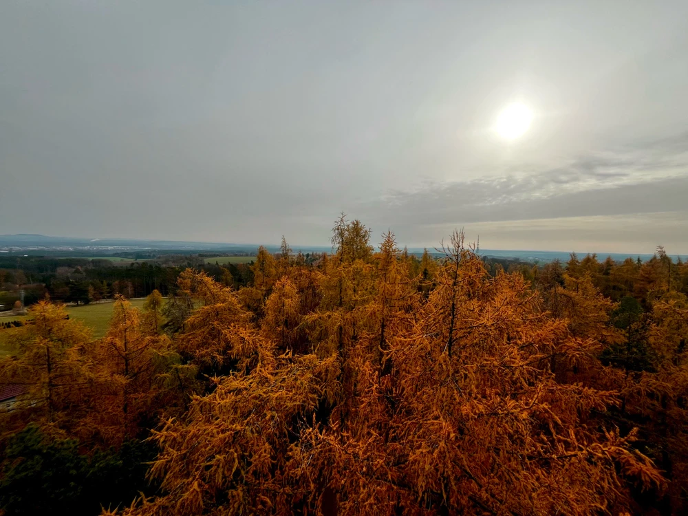 Obrázek nahrál Jess