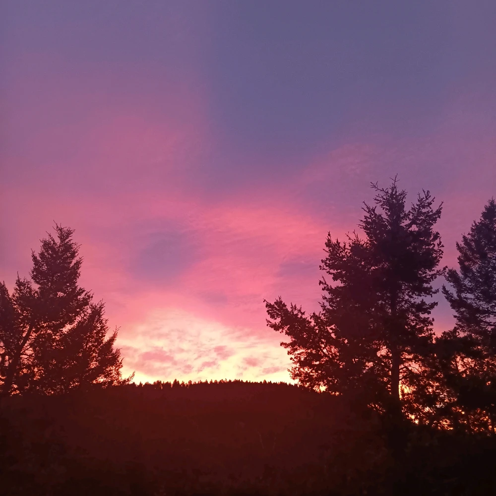 GIF uploaded by John