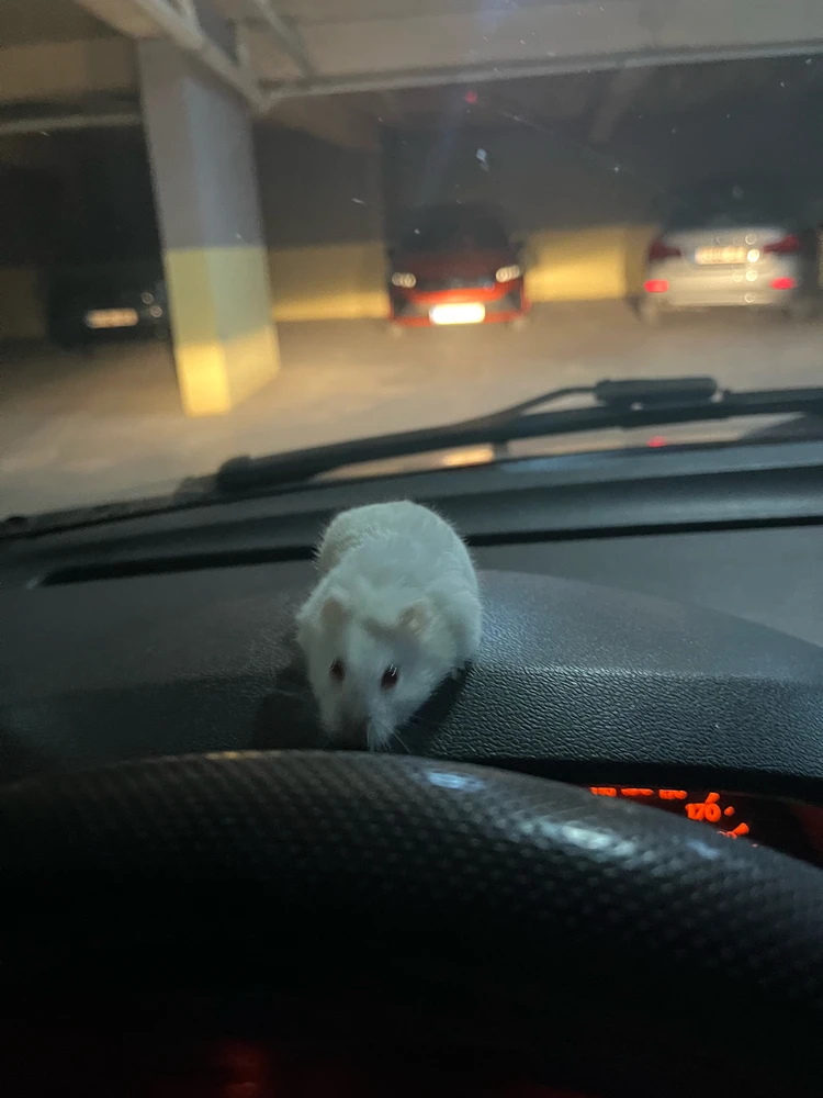 Alperen tarafından yüklenen GIF