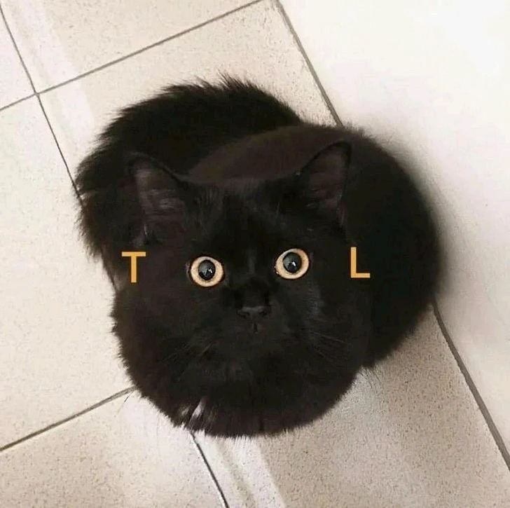 Image uploaded by Joshua