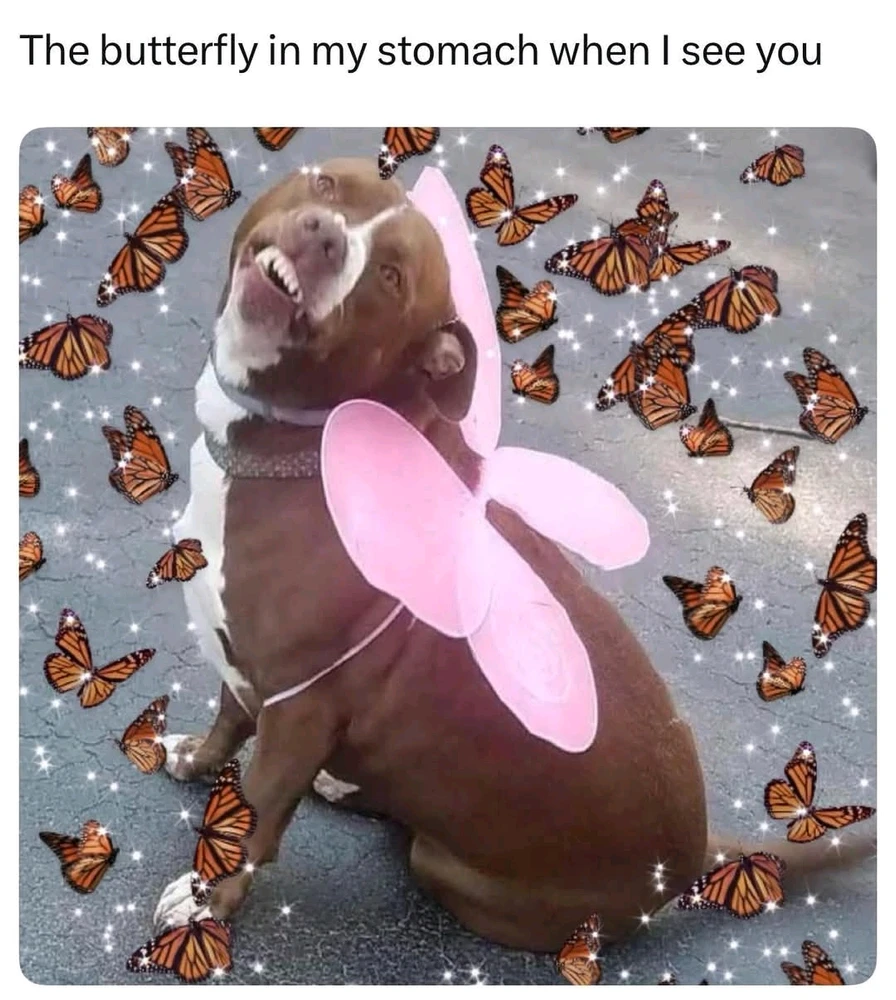 GIF uppladdad av Leon