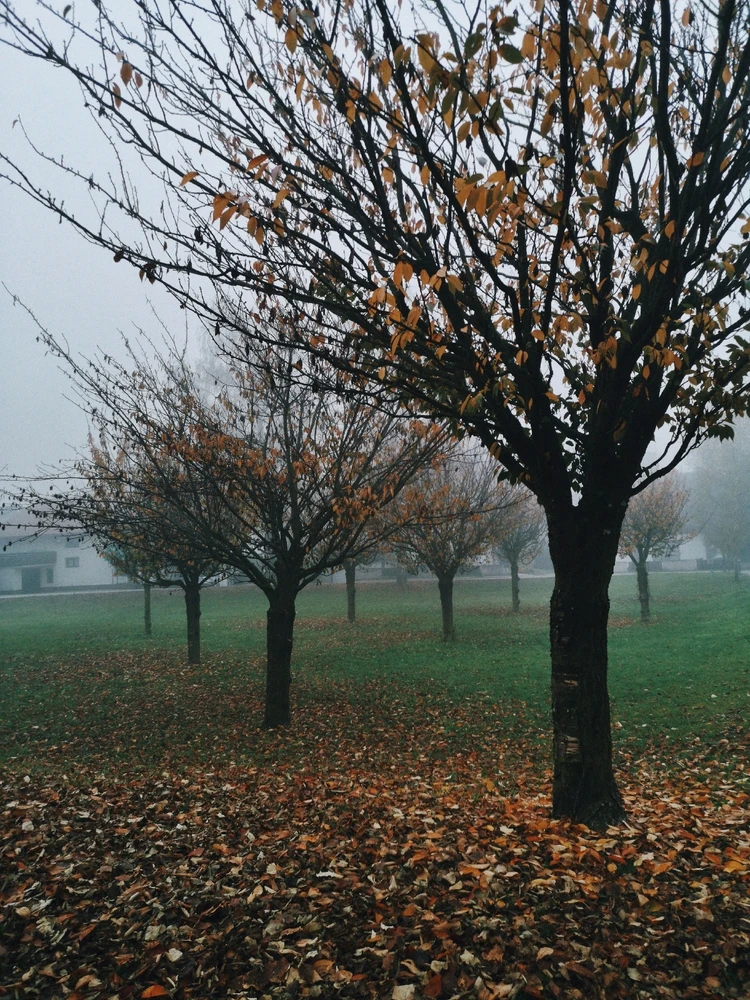 GIF загрузил Lera