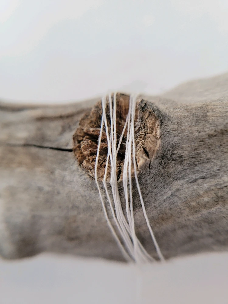 GIF uploaded by Chani