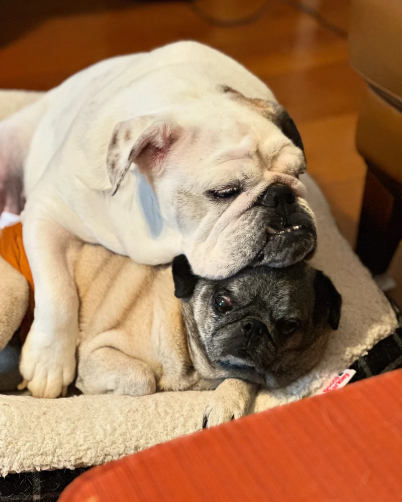 Image uploaded by Annie