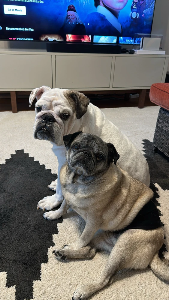 Image uploaded by Annie