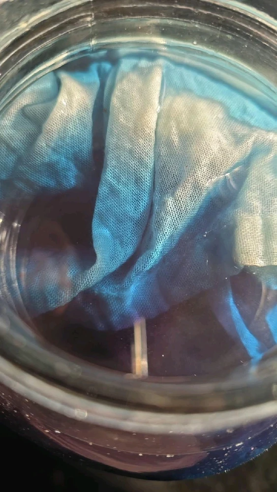 Image uploaded by Tarik