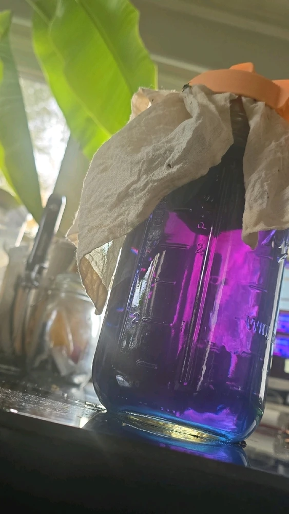 Image uploaded by Tarik