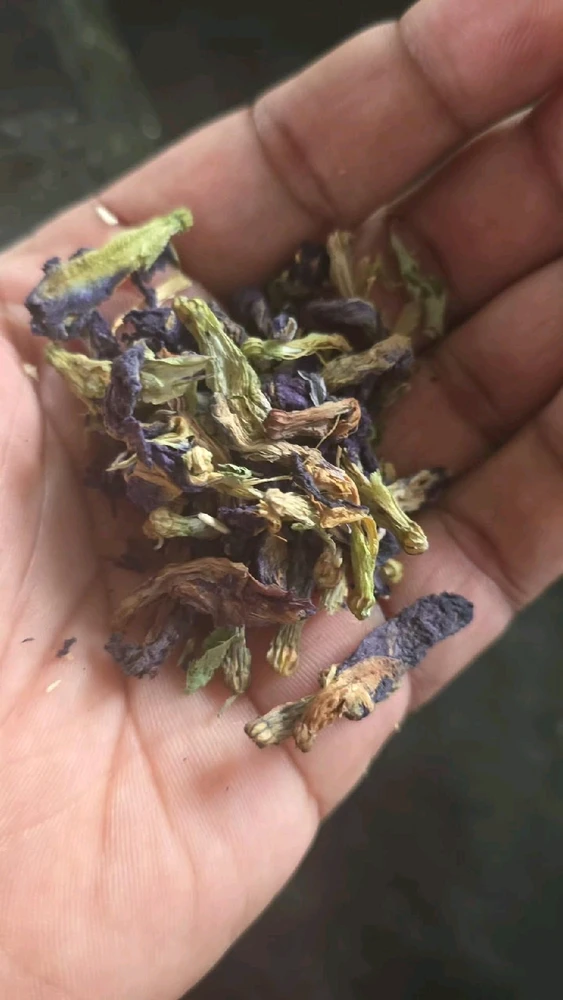 Image uploaded by Tarik