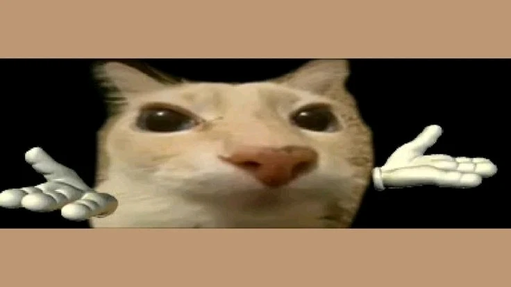 Image uploaded by Mitchell