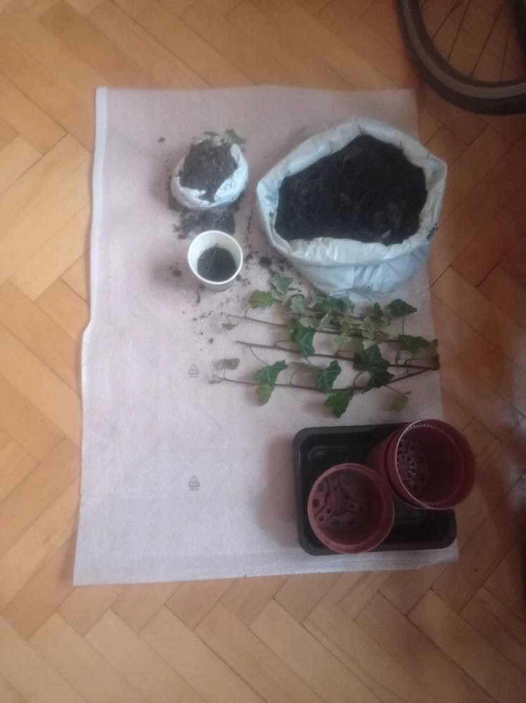 GIF dodany przez Threshold