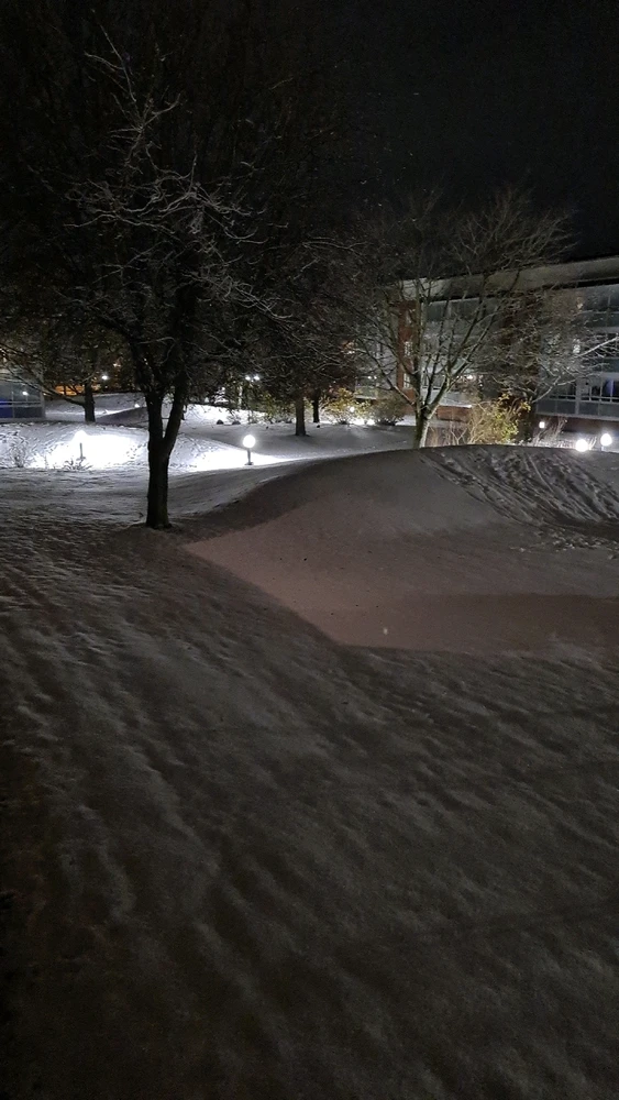 Image uploaded by Igor