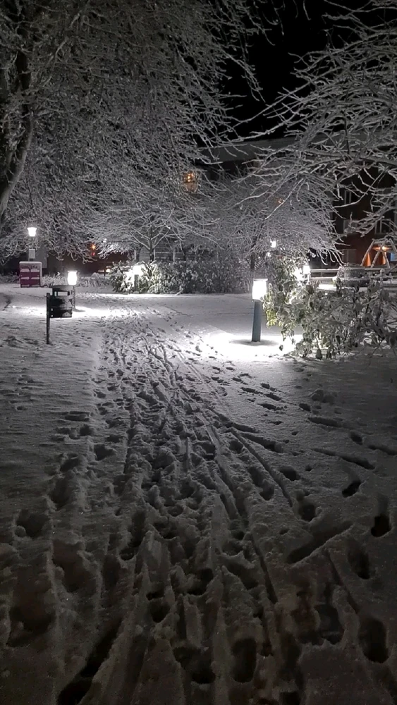 Image uploaded by Igor