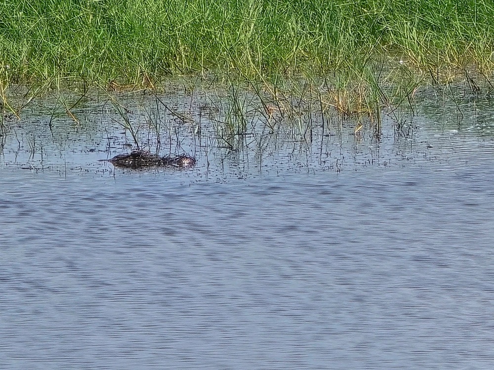 Image uploaded by Eli