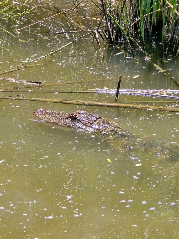 Image uploaded by Eli