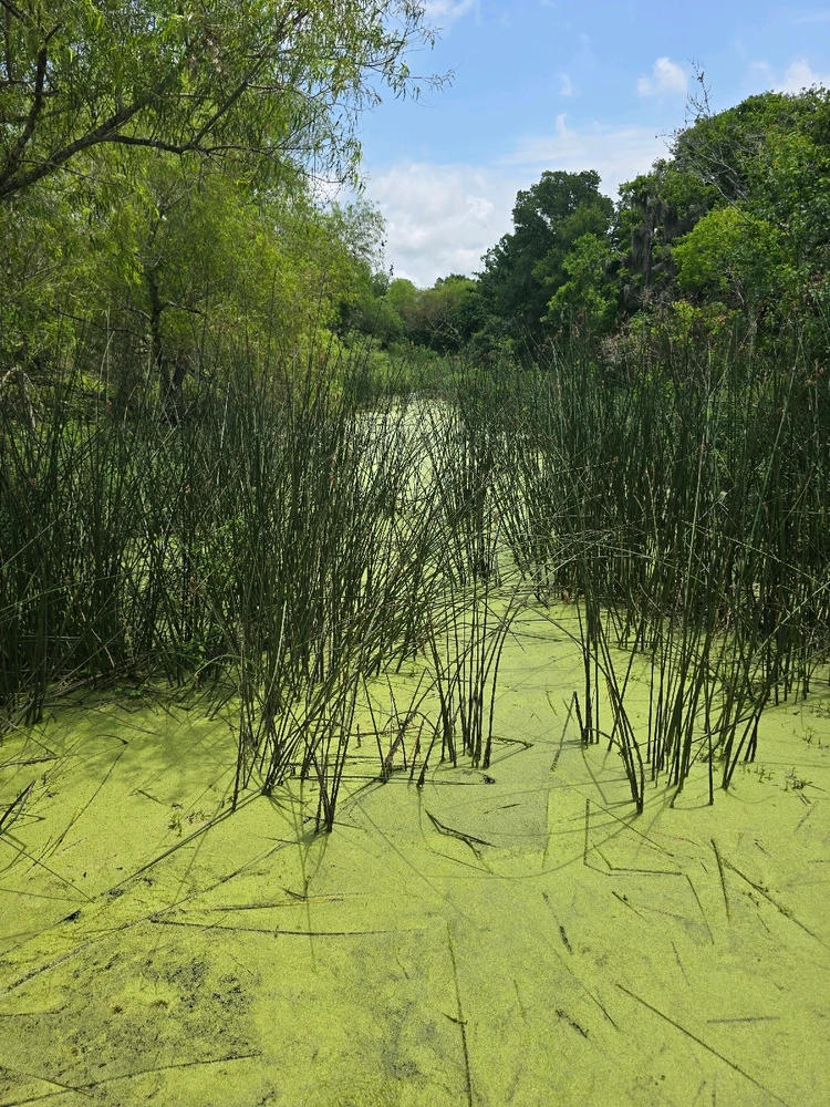 Image uploaded by Eli