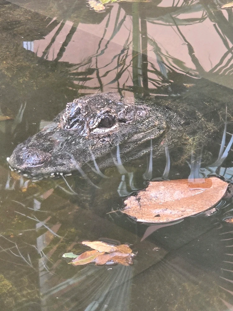 Image uploaded by Eli