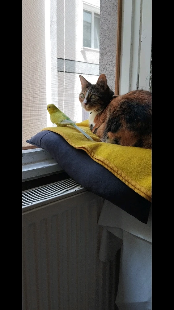 GIF uploaded by Fatih