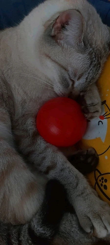 GIF enviado por Tiago