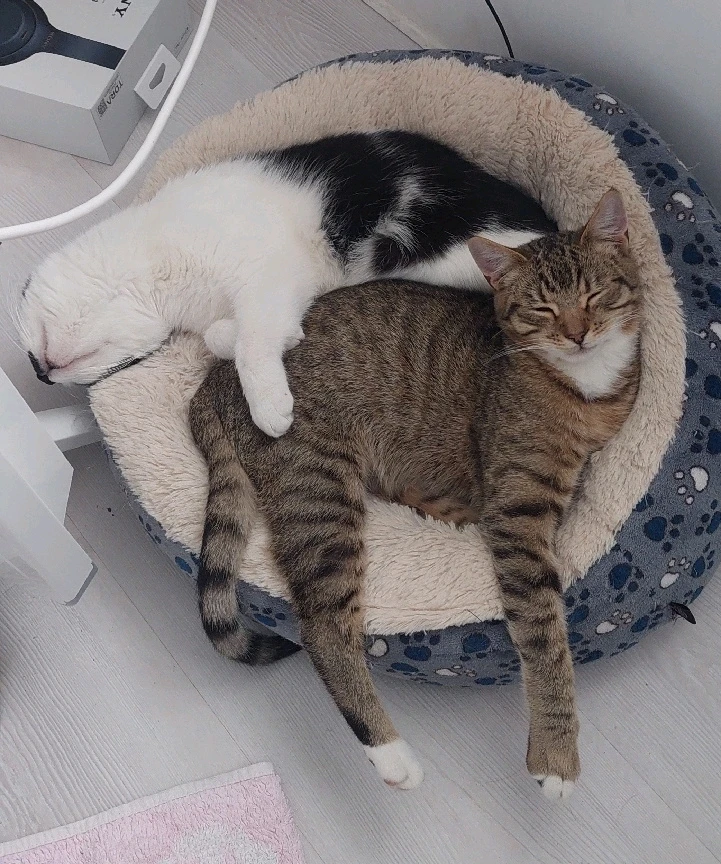 Зображення завантажив Христя