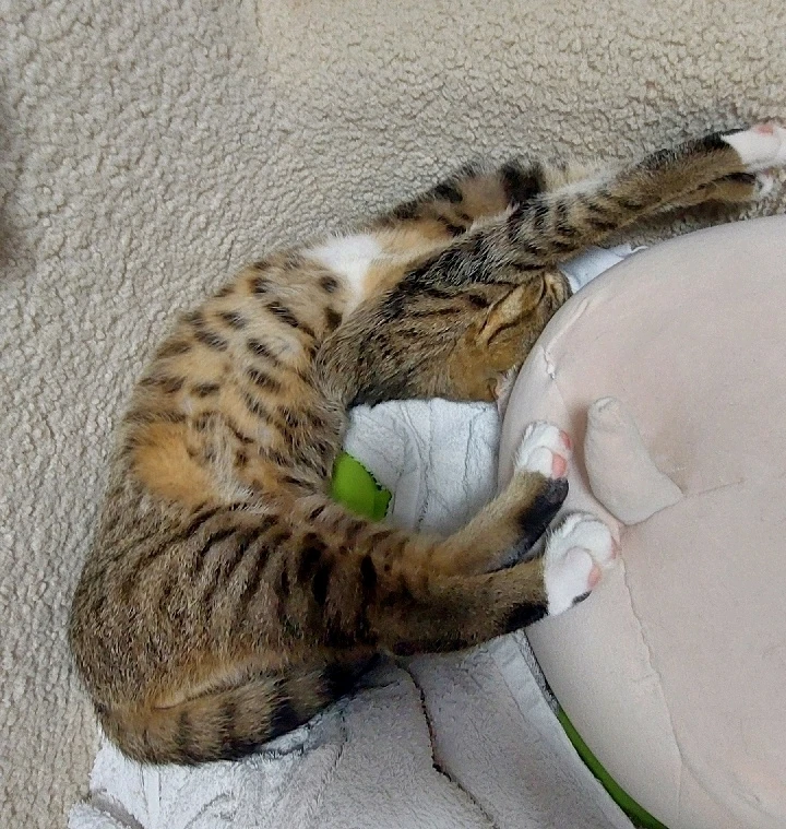 Зображення завантажив Христя