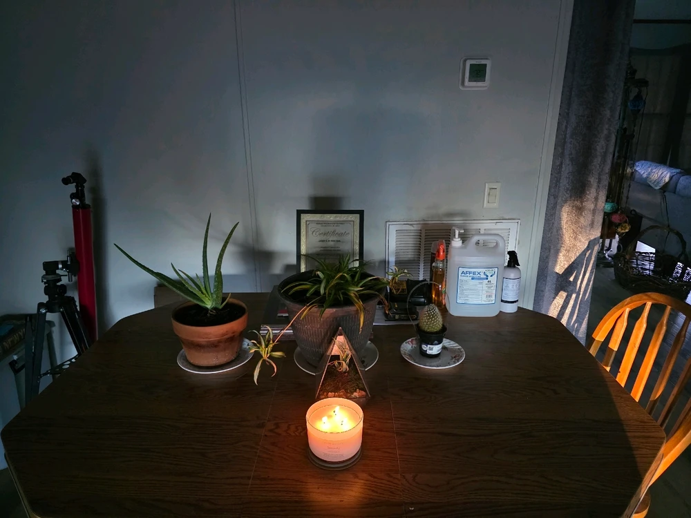 Image uploaded by Blake