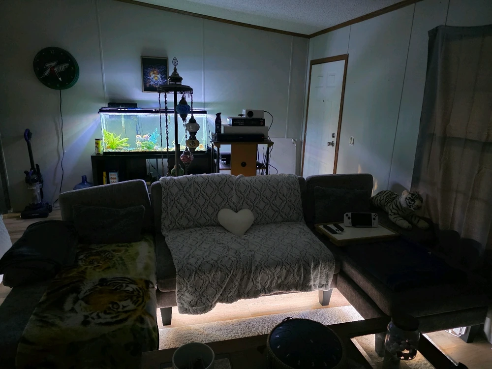 Image uploaded by Blake