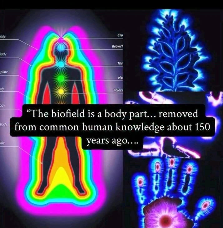 Image uploaded by Justin