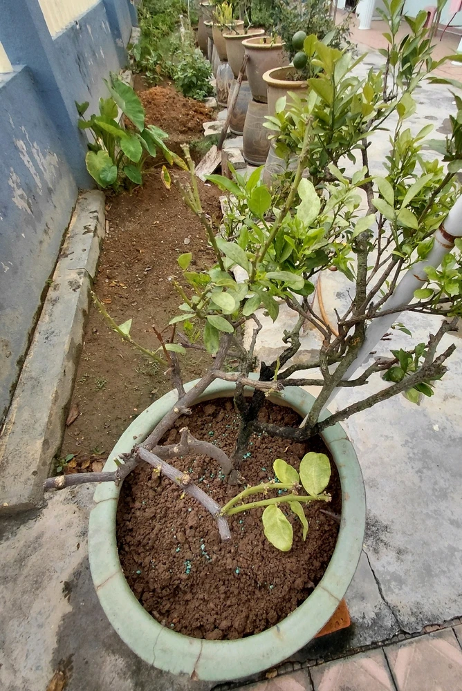 GIF uploaded by Normz