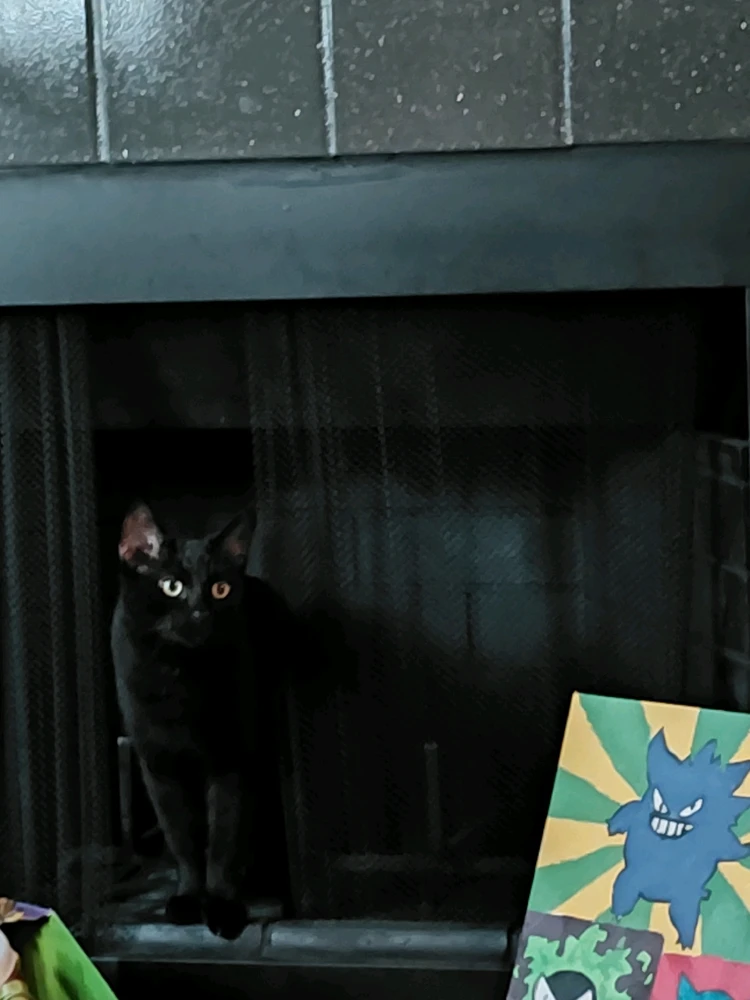 GIF uploaded by Nicole