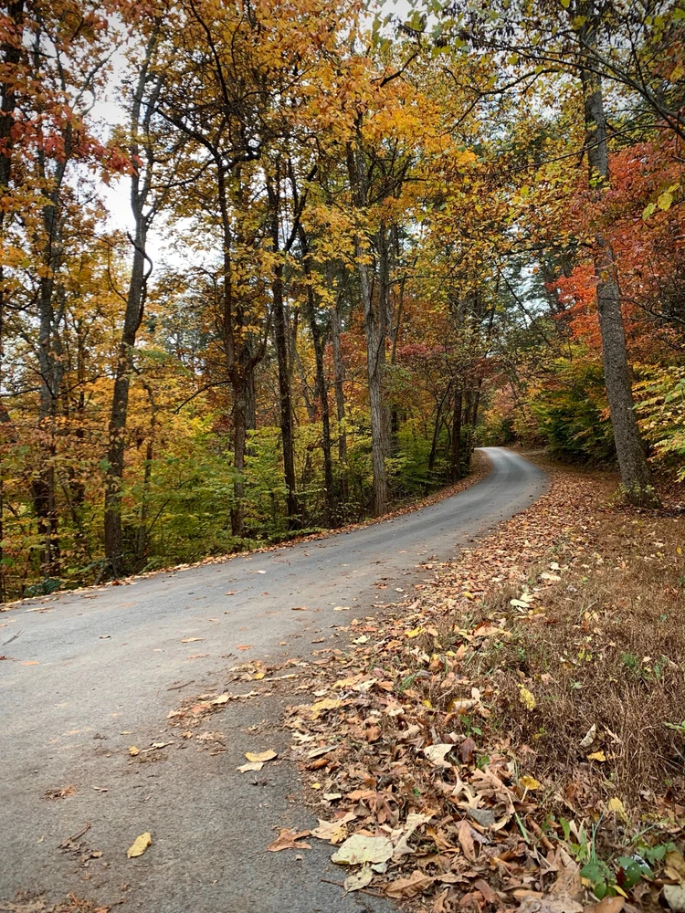 GIF uploaded by Alaina