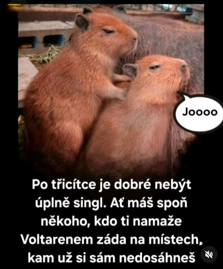 GIF nahral Vladimír