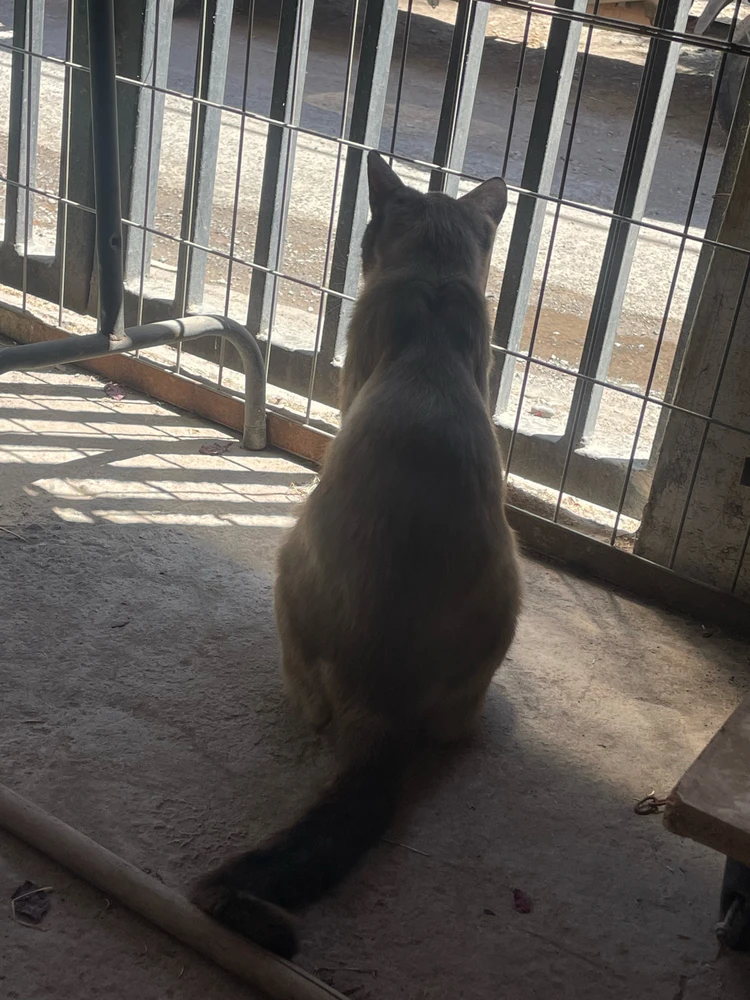 Imagen subida por Benja