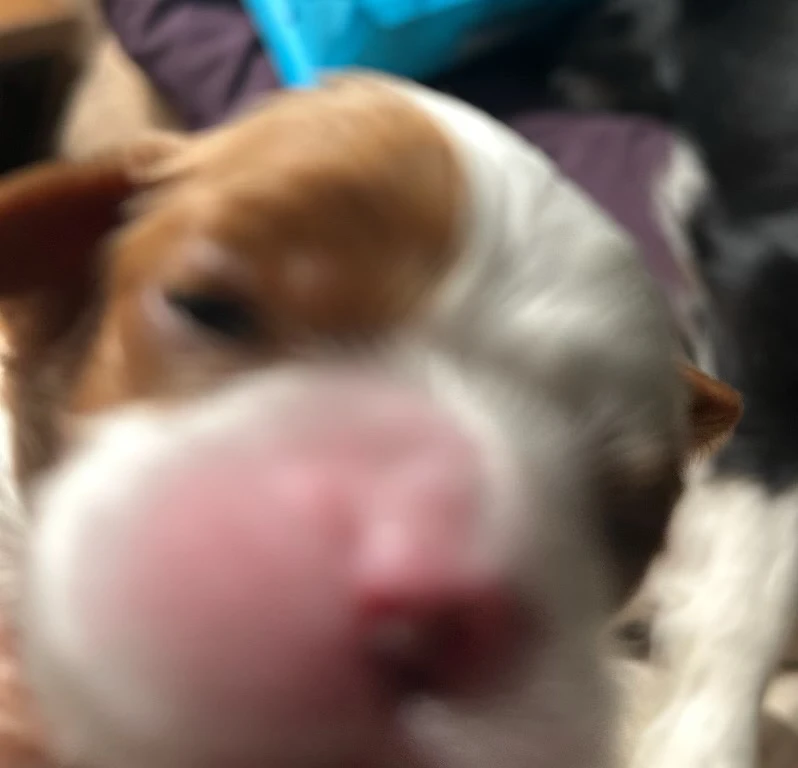 GIF uploaded by Michael