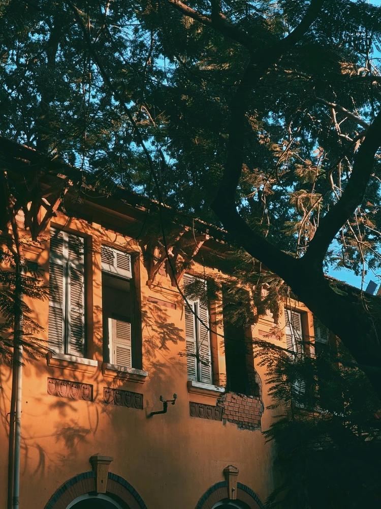 Ảnh do iiviiivi tải lên