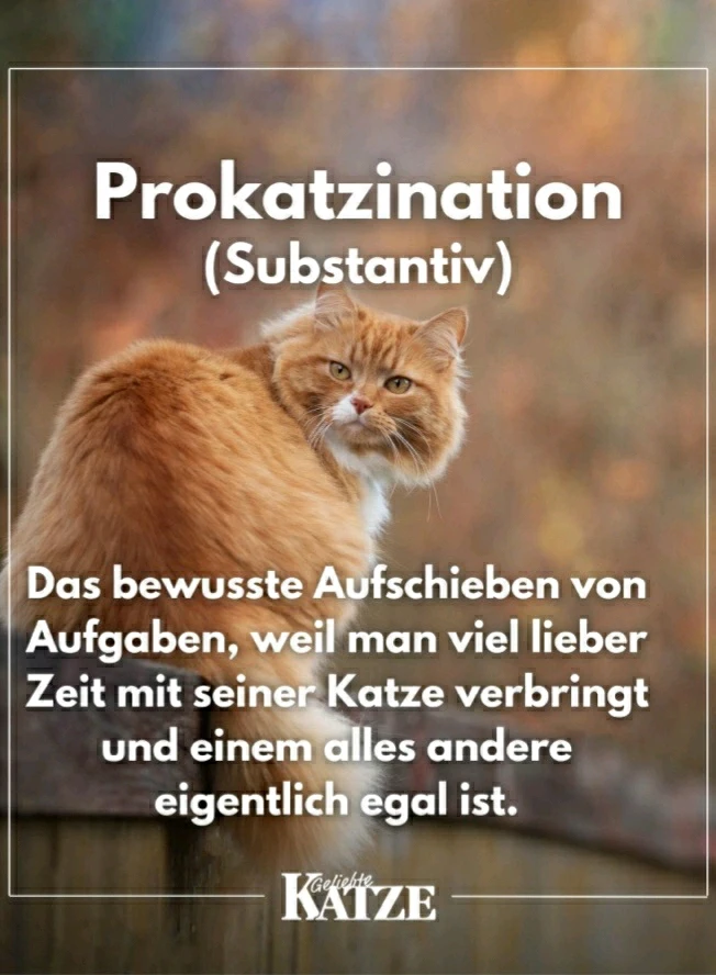 GIF hochgeladen von Marron