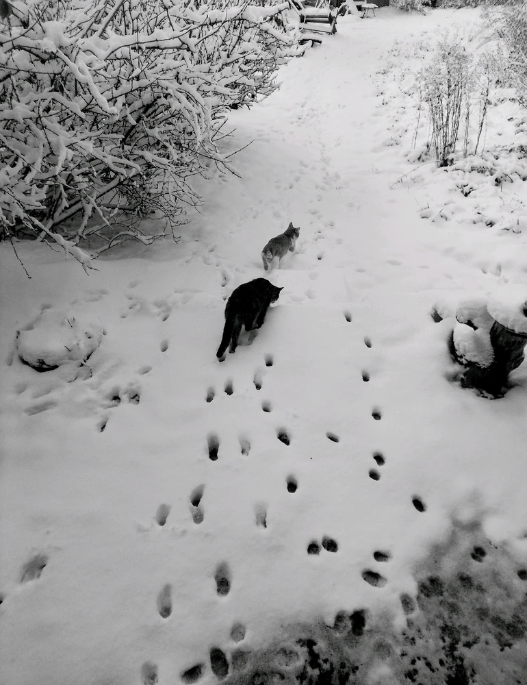 Zdjęcie dodane przez Anna