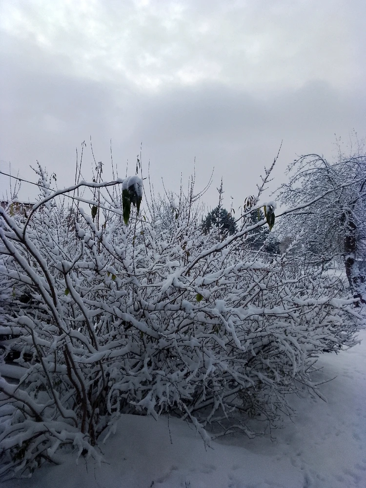 Zdjęcie dodane przez Anna