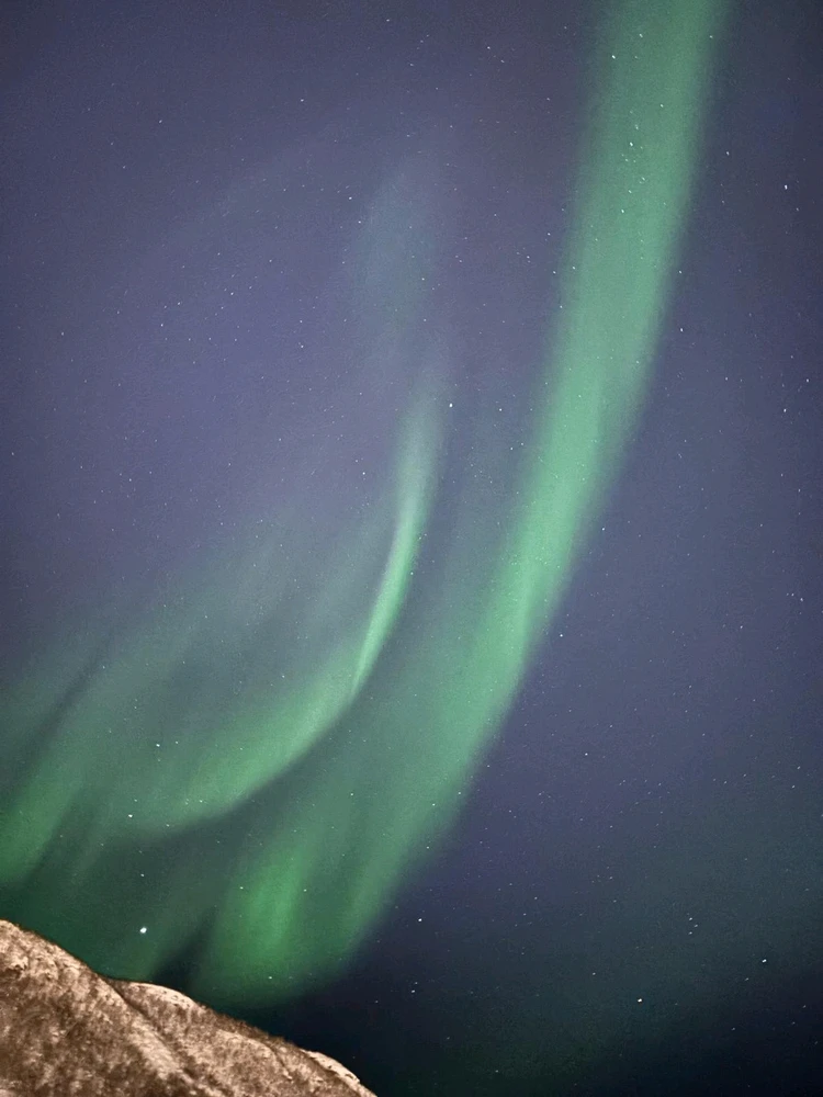 GIF nahrál Daniela Anna