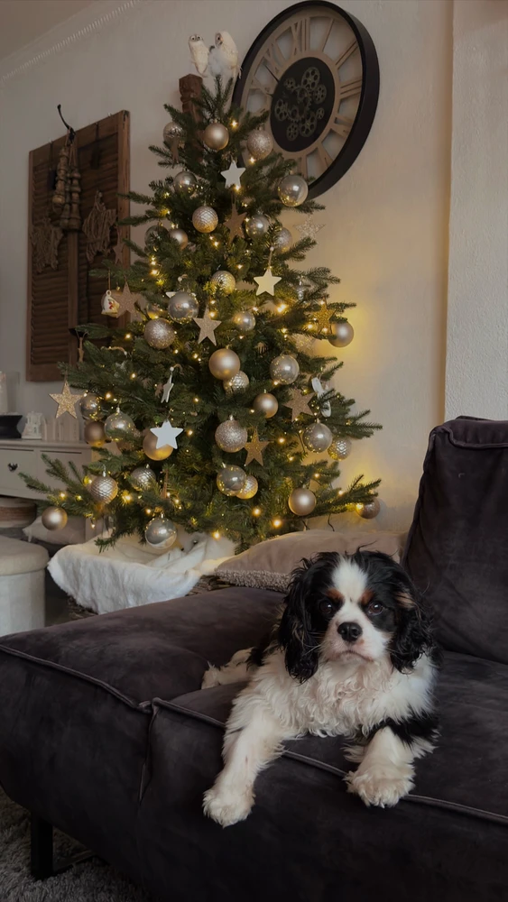 GIF geüpload door Nicky