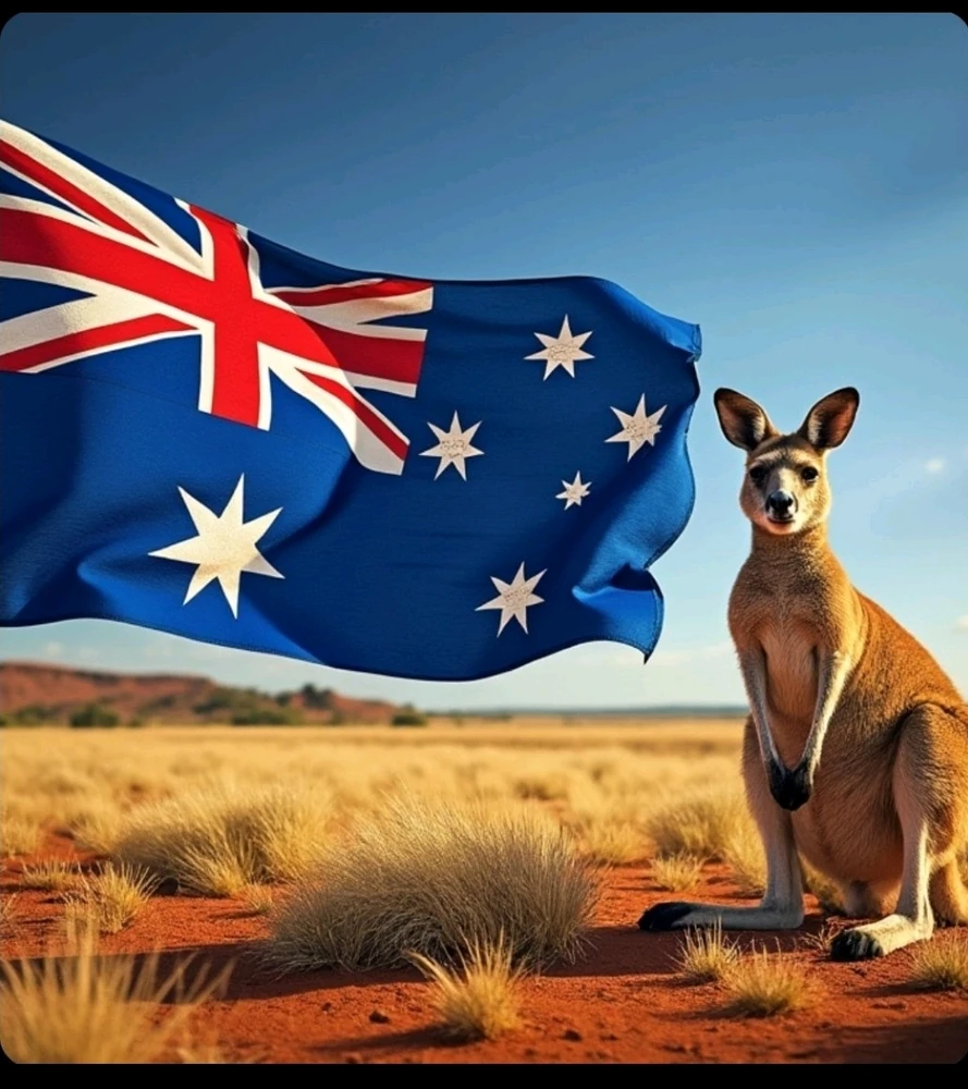 GIF uploaded by Liam