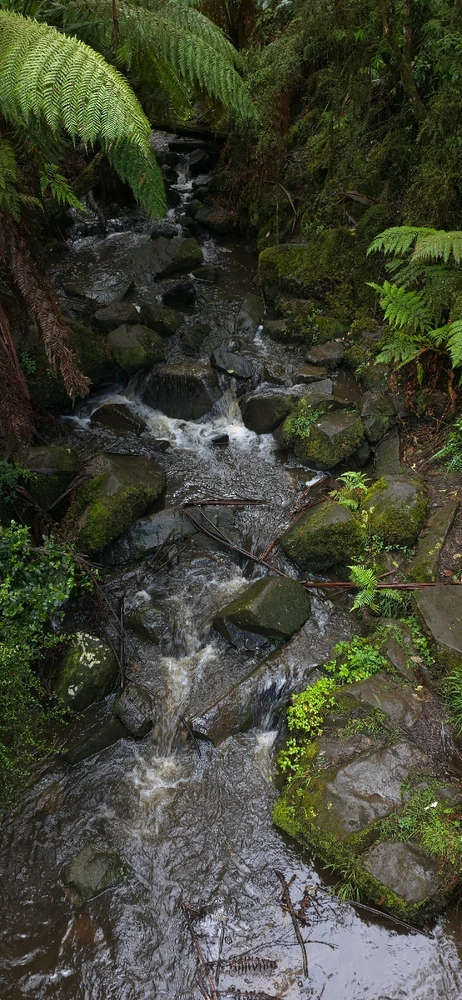 GIF uploaded by Serge Aus